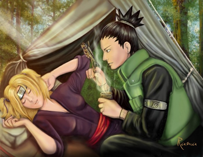Shikamaru-x-Temari-shikamaru-x-temari-23421174-800-620