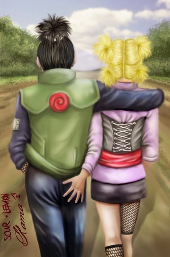 Shikamaru-x-Temari-shikamaru-x-temari-23421176-529-800