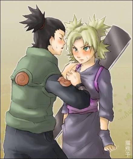 ShikaTema 22