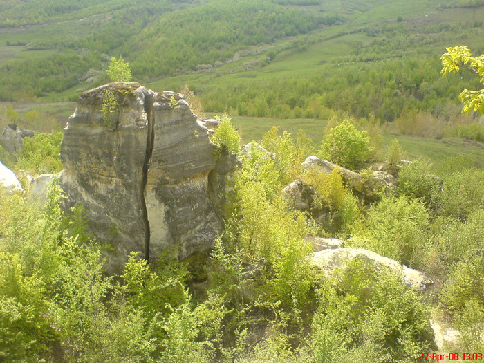 Gradina Zmeilor, Sj