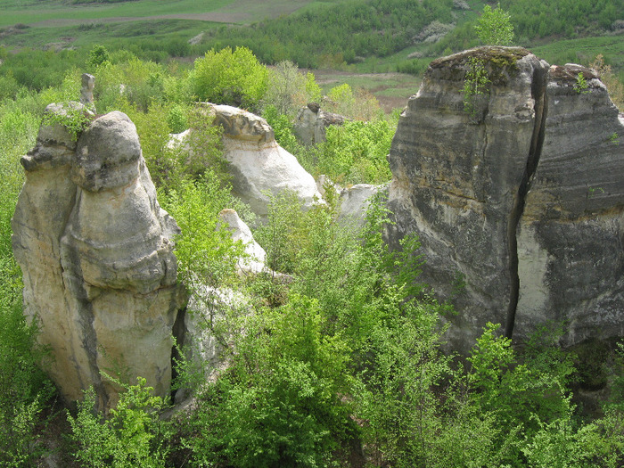 Gradina Zmeilor, Sj