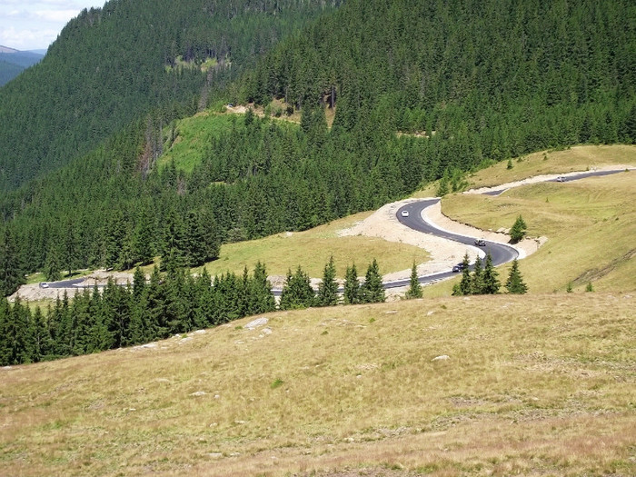 DSCF1643 - 2011 Transalpina 13 aug