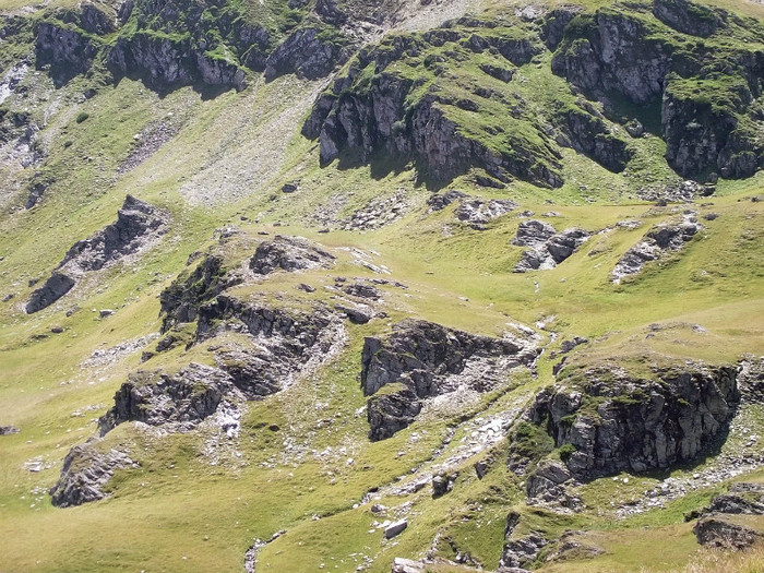 DSCF1654 - 2011 Transalpina 13 aug