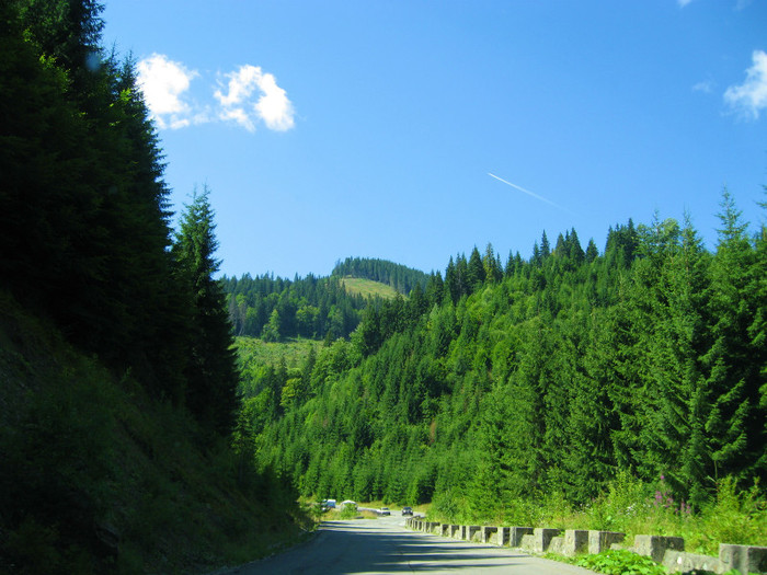 IMG_0171 - 2011 Transalpina 13 aug