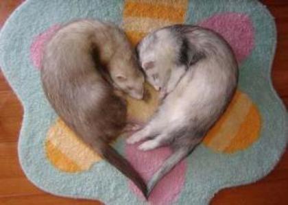 47882o_frumoasa_inimioara - Heart
