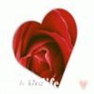 DRAGOSTE4 - Heart
