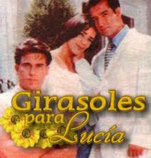 images (57) - Jorge Aravena