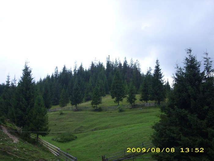 Apuseni-Poiana horea...uitat de lume