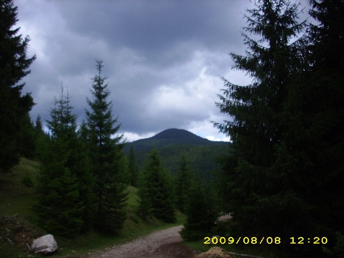 Apuseni-Poiana Horea - Places i ve visited