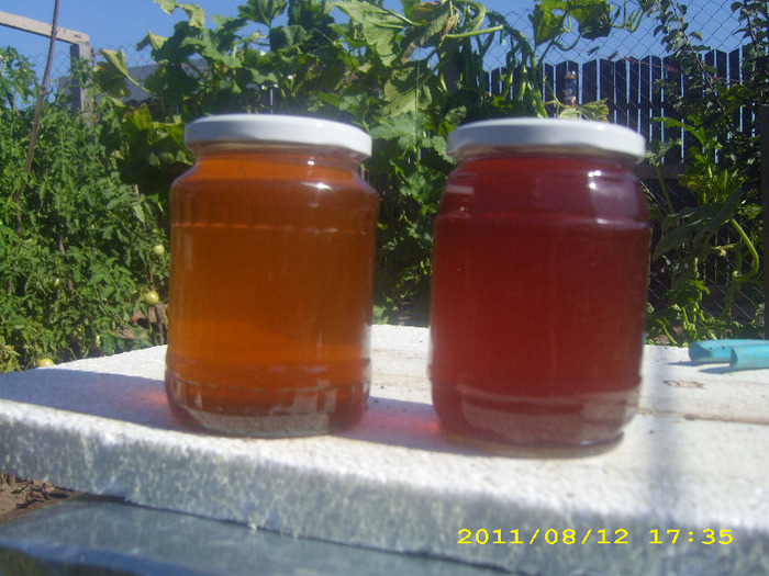 miere din perioada florii soarelui extractia 1(primul borcan) si extractia 2 (al doilea borcan)