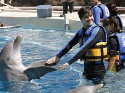 images (15)