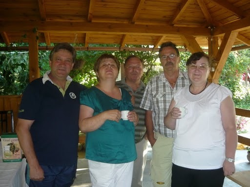 o echipa serioasa - 9-colegii de liceu iskola talalkozo