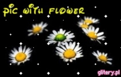--- - 0 Test cu premii