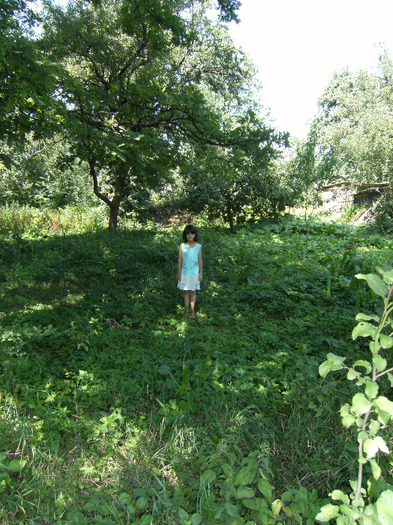 13 aug 2011 003