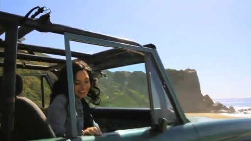 Demi Lovato (28) - Demilush