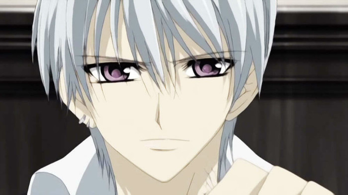 Zero-zero - Vampire Knight