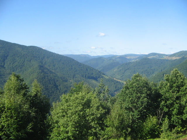 IMG_5057; Valea Ierii. In fundal, Muntele Baisorii
