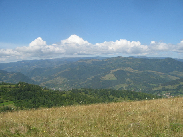 Sălciua.; Zona Sălciua
