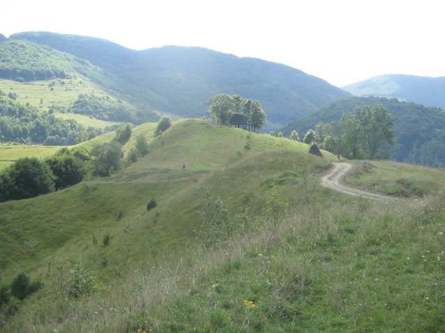 IMG_5120; Spre cascada Vănătările Ponorului

