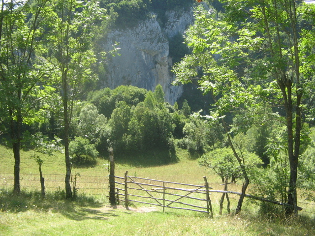 IMG_5150; Spre cascada Vânătările Ponorului
