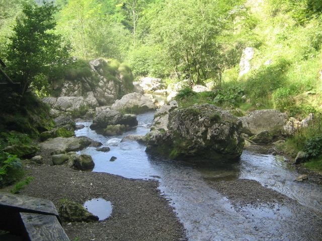 IMG_5221; Pârâul din peştera ce vine de la cascada Vânătările Ponorului
