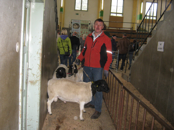 Ritzberger cu dorperul