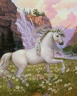 unicorn16[1] - poze unicorni