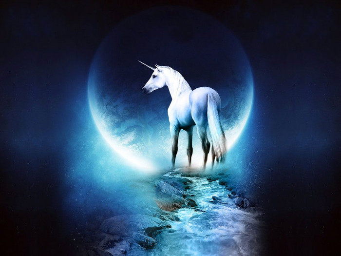 wallapper_unicorn[1] - poze unicorni