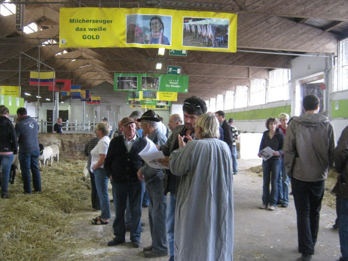 iara discutii-cu doamna Stahl