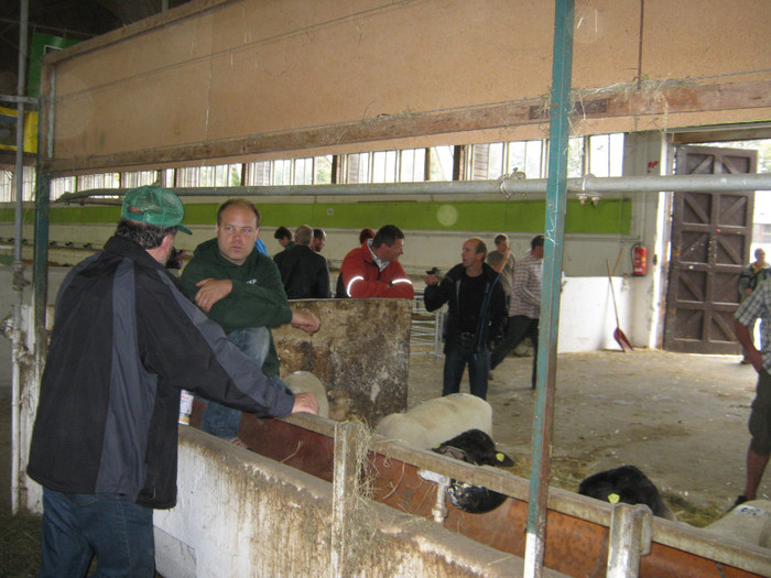 crescatorii prezinta oile-dai informatii