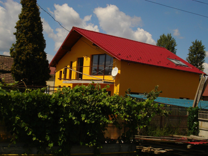 DSC03441