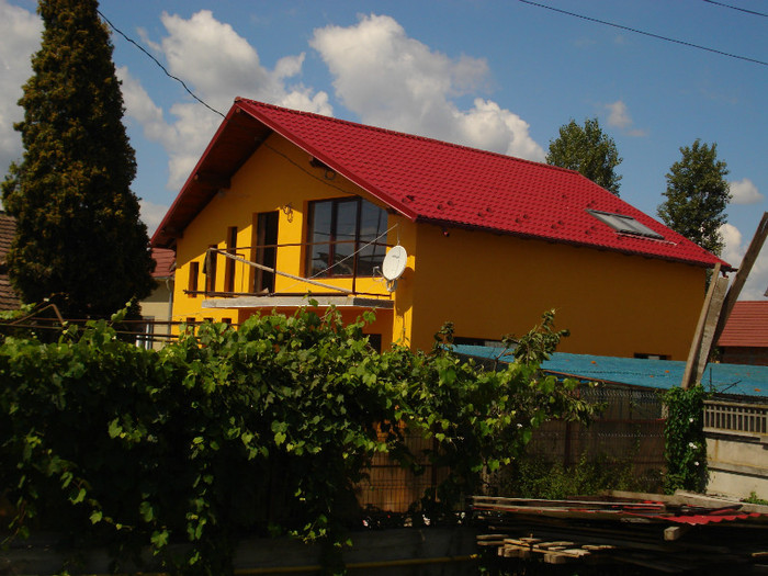 DSC03442