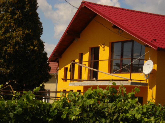 DSC03443