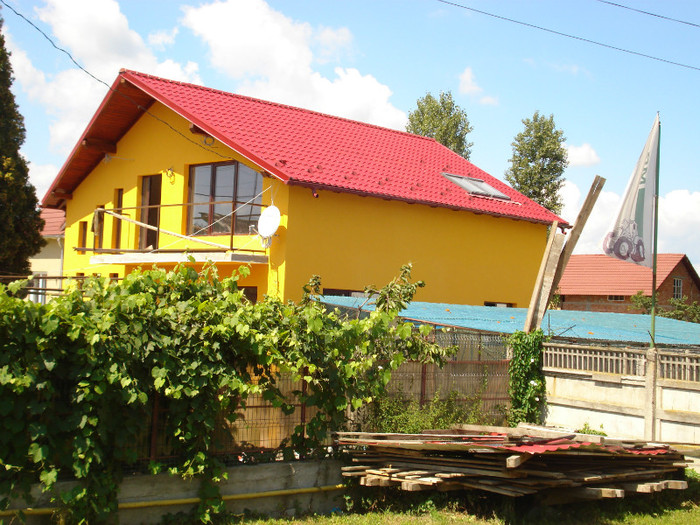 DSC03446