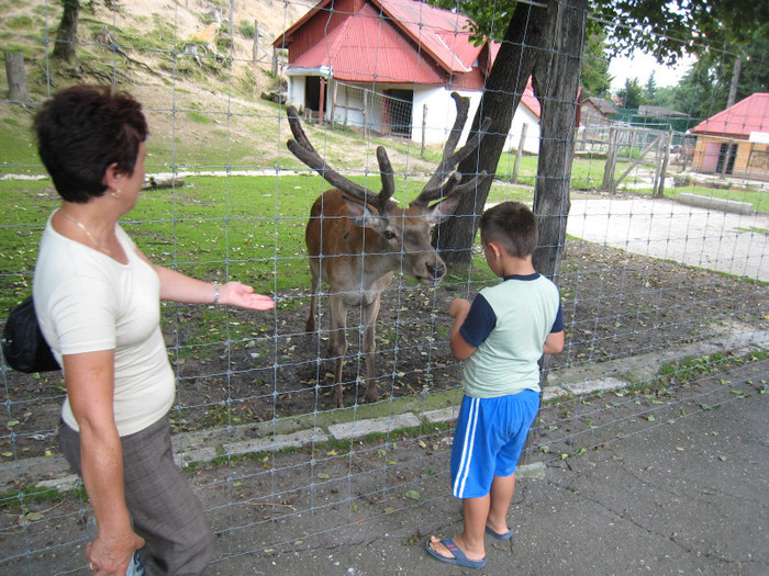 ANTONIO SI MAMI IN BRASOV 06.08.2010 181 - ANTONIO SI MAMI IN BRASOV 06-08-2010