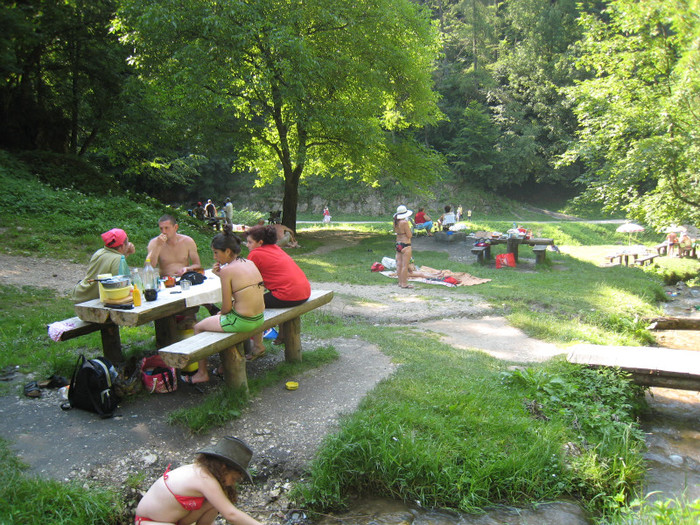 MUNTE ARGES 22.07.2011 250 - ARGES MUNTE VIDRARU 22-07-2011