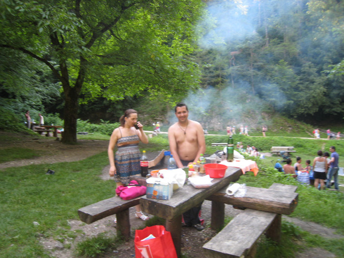 MUNTE ARGES 22.07.2011 284 - ARGES MUNTE VIDRARU 22-07-2011