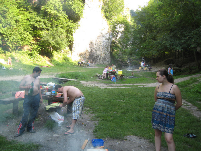 MUNTE ARGES 22.07.2011 296 - ARGES MUNTE VIDRARU 22-07-2011