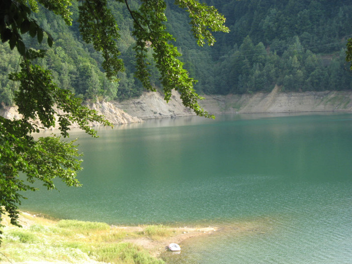 MUNTE ARGES 22.07.2011 347