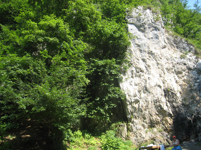 PIETRELE LUI SOLOMON 07.2011 051