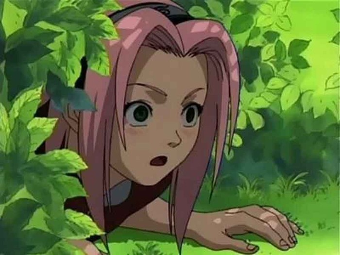 13 - Sakura Haruno