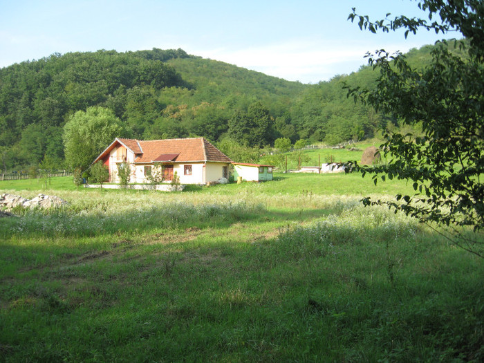cabana pe vale la Savirsin