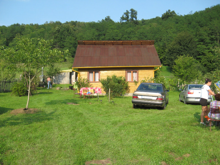 cabana pe vale la Savirsin