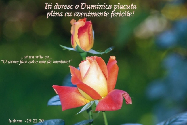 Duminica placuta - Diverse