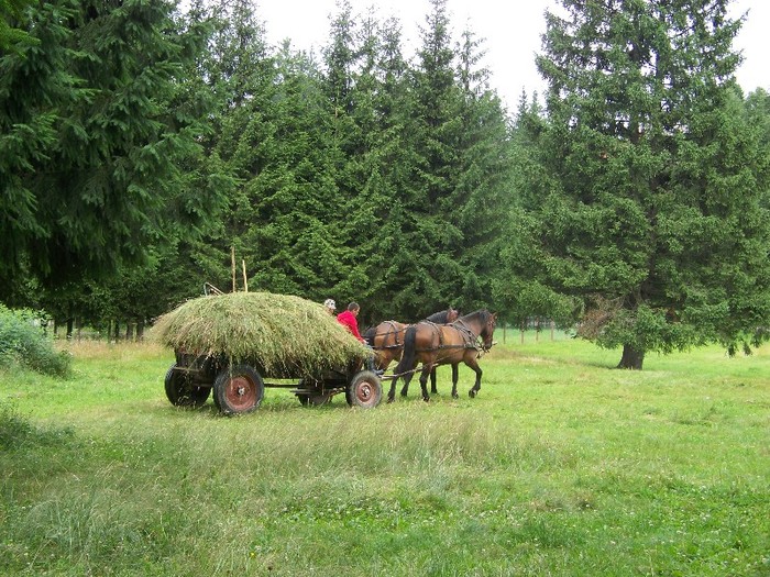 100_2107 - Poiana Brasov