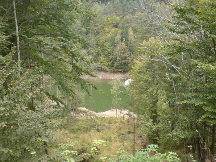 DSC03219