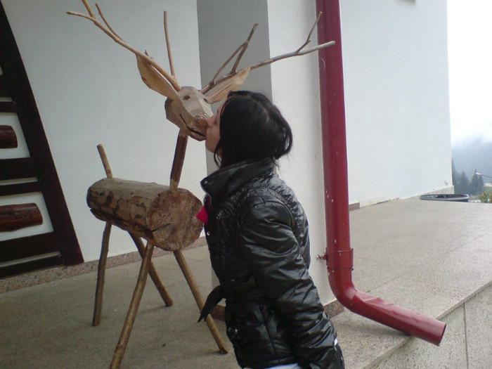 DSC03319