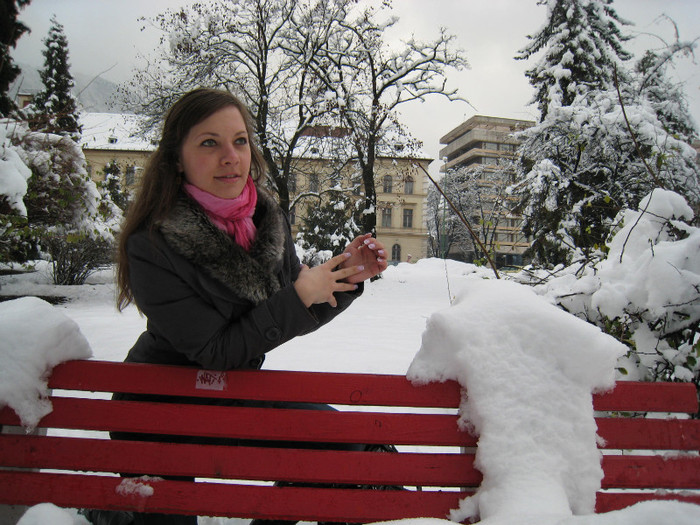 PRIN BRASOV PRIMA NINSOARE05.12.2010 024