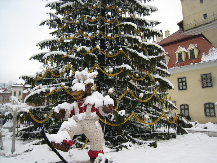 PRIN BRASOV PRIMA NINSOARE05.12.2010 082