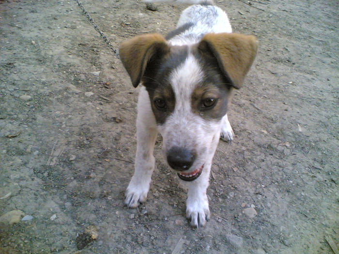 15082011(026) - LADY SI PRIETENII